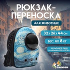 Рюкзак для переноски кошек и собак «Волны», с окном, 32×26×44 см - Фото 1