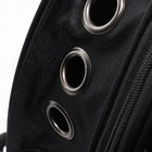 Рюкзак для переноски кошек и собак "Медвежата", с окном, 32 х 26 х 44 см, серый - Фото 10