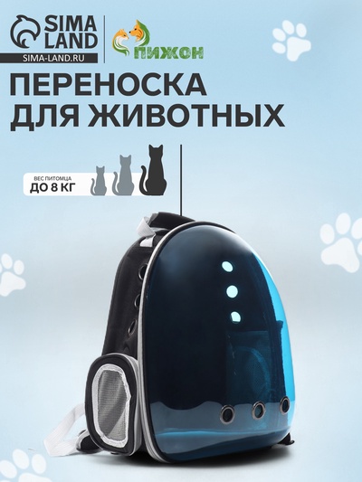 Рюкзак для переноски кошек и собак, прозрачный с напылением, 33×25×41 см