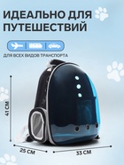 Рюкзак для переноски кошек и собак, прозрачный с напылением, 33×25×41 см - Фото 2