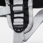 Рюкзак для переноски кошек и собак, прозрачный с напылением, 33×25×41 см - Фото 14