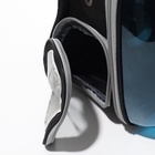 Рюкзак для переноски кошек и собак, прозрачный с напылением, 33×25×41 см - Фото 16
