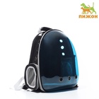 Рюкзак для переноски кошек и собак, прозрачный с напылением, 33×25×41 см - Фото 4