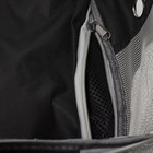 Рюкзак для переноски животных, раскладывающийся, 33 х 28 х 42 см, черный/прозрачный - Фото 12