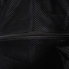Рюкзак для переноски животных, раскладывающийся, 33 х 28 х 42 см, черный/прозрачный - Фото 13