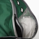 Рюкзак для переноски животных, раскладывающийся, 33 х 28 х 42 см, зеленый/прозрачный - фото 6780446