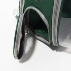 Рюкзак для переноски животных, раскладывающийся, 33 х 28 х 42 см, зеленый/прозрачный - фото 6780450