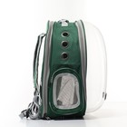 Рюкзак для переноски животных, раскладывающийся, 33 х 28 х 42 см, зеленый/прозрачный - фото 6780437