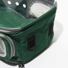 Рюкзак для переноски животных, раскладывающийся, 33 х 28 х 42 см, зеленый/прозрачный - фото 6780439