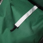 Рюкзак для переноски животных, раскладывающийся, 33 х 28 х 42 см, зеленый/прозрачный - фото 6780444
