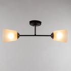 Люстра на потолок BayerLux «Луч», 2×15 Вт, Е27, черный/прозрачный 9095908