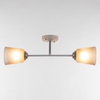 Люстра «Луч» 2×15 Вт Е27 МОДЕЛЬ: BR=00250 белый/черный - фото 48838232