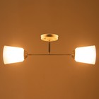 Люстра «Луч» 2×15 Вт Е27 МОДЕЛЬ: BR=00250 белый/черный - фото 48838233