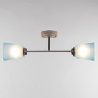 Люстра на потолок BayerLux «Луч», 2×15 Вт, Е27, белый/синий - фото 3808537