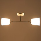 Люстра на потолок BayerLux «Луч», 2×15 Вт, Е27, белый/синий - фото 3808538