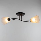 Люстра "Лилия" (цветок) 2х15Вт Е27 МОДЕЛЬ: BR 00253 черный/прозрачный 9095916