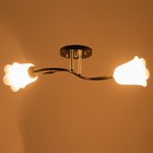 Люстра "Лилия" (цветок) 2х15Вт Е27 МОДЕЛЬ: BR 00253 черный/прозрачный 9095916