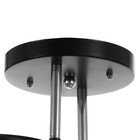 Люстра "Лилия" (цветок) 2х15Вт Е27 МОДЕЛЬ: BR 00253 черный/прозрачный 9095916