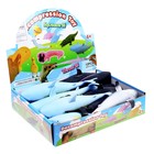 Мялка «Акула» с пастой, цвета МИКС (комплект 12 шт) - фото 25273372