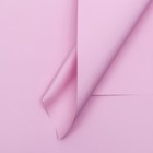 Пленка для цветов и букетов, 57×57 см, пудра светлая - Фото 1