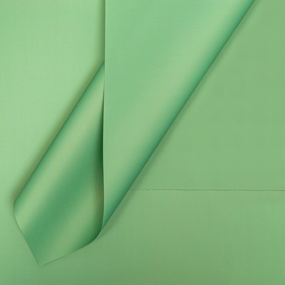 Плёнка флористическая для цветов, травяной, 57×57 см