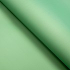 Пленка для цветов,57х57см, хаки 9163216 - фото 11329835 Пленка для цветов,57х57см, хаки 9163216 - фото 11329835