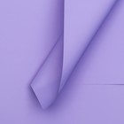 Пленка для цветов и букетов, светло - сиреневая, 57×57 см ±5% см - Фото 1