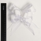 Бант-бабочка №5 - фото 21966580