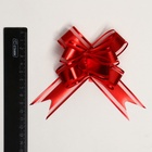 Подарочный Бант - бабочка №3, красный, для упаковки подарков 7986215