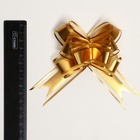 Подарочный Бант - бабочка №3, золотой, для упаковки подарков 7986220