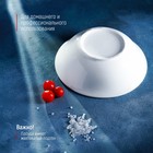 Тарелка глубокая "SKYPHOS " 950 мл, 20х20х6,5 см 9225394 - фото 14605292