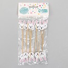 Шпажки «Зайка», в наборе 12 штук - Фото 4