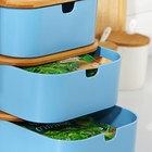 Ящик для хранения специй Heaven, 3 отделения - Фото 2