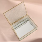 Органайзер для хранения, с крышкой, 1 секция, 20 × 16,8 × 6,5 см, цвет прозрачный/медный - Фото 3