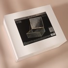 Органайзер для хранения, с крышкой, 1 секция, 20 × 16,8 × 6,5 см, цвет прозрачный/медный - Фото 4