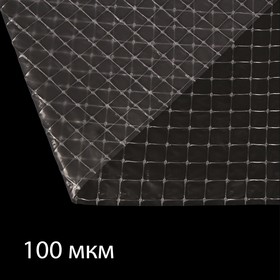 Плёнка полиэтиленовая, армированная леской, толщина 100 мкм, 10 × 2 м, УФ