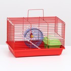 Клетка для грызунов, укомплектованная, 36 х 24 х 27 см, красный - фото 319218064