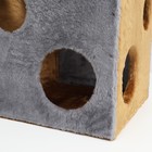 Домик для кошек "Кубик с лапкой", с игрушкой, 40 х 40 х 40 см - Фото 9