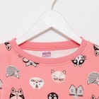 Пижама для девочки, цвет коралловый/кот, рост 104 см 9440827