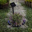 Садовый светильник на солнечной батарее «Обруч», 9 LED, свечение белое - фото 6784254