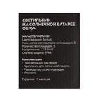 Садовый светильник на солнечной батарее «Обруч», 15 LED, свечение тёплое белое 9146819 - фото 16508484