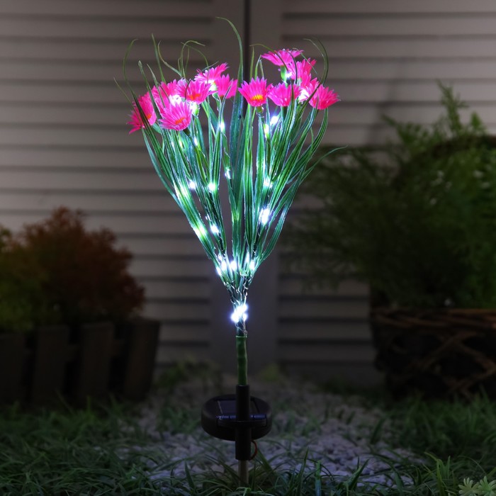 Садовый светильник на солнечной батарее «Маргаритки», 70 см, 42 LED, свечение белое - Фото 1