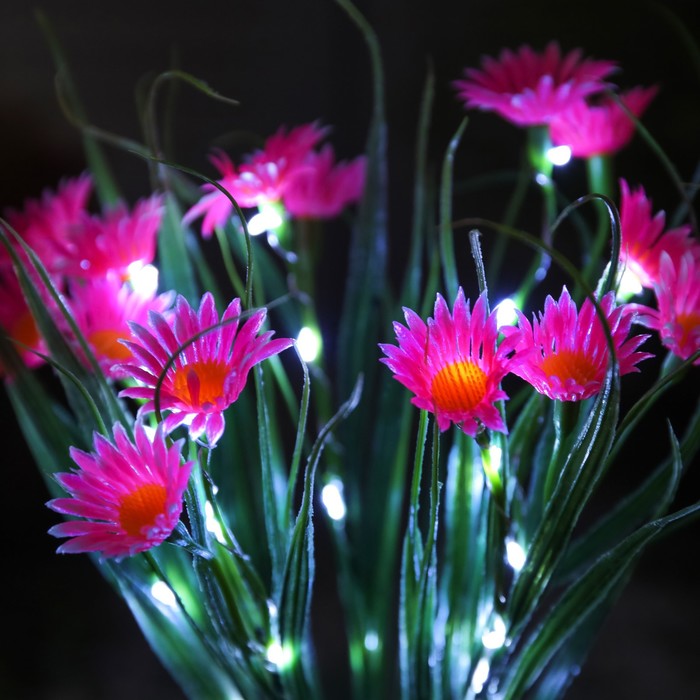 Садовый светильник на солнечной батарее «Маргаритки», 70 см, 42 LED, свечение белое - фото 1900294804