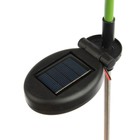 Садовый светильник на солнечной батарее «Хвоя», 65 см, 8 LED, свечение тёплое белое - фото 21969923