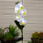 Садовый светильник на солнечной батарее «Белая орхидея», 74 см, 5 LED, свечение белое - фото 10188848