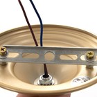 Люстра «Риана» 5хЕ14 40 Вт золото 55×55×45 см BayerLux - фото 35376333