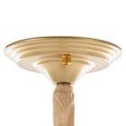 Люстра «Риана» 5хЕ14 40 Вт золото 55×55×45 см BayerLux - фото 35376326