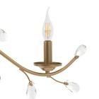 Люстра «Риана» 5хЕ14 40 Вт золото 55×55×45 см BayerLux - фото 35376327