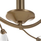 Люстра «Риана» 5хЕ14 40 Вт золото 55×55×45 см BayerLux - фото 35376328