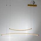 Светильник BayerLux"Интен" LED 30Вт 3000К золото 90х25-125 см - фото 22974929